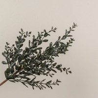 28" GLITTERED RUSCUS SPRAY