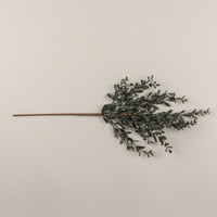 28" GLITTERED RUSCUS SPRAY
