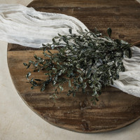 28" GLITTERED RUSCUS SPRAY