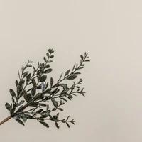 16" GLITTERED RUSCUS PICK