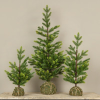 3' FLETCHER PINE TREE W/ MOSS BASE
