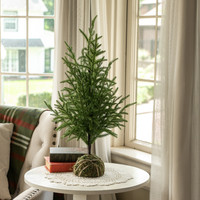 2' SOFT TOUCH AULSTRALIA PINE TREE W/ MOSS BASE