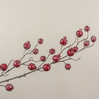 43" ICY POMEGRANATE SPRAY
