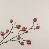 32" ICY POMEGRANATE SPRAY