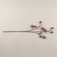 32" ICY POMEGRANATE SPRAY