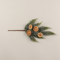 21" JUNIPER & FRUIT SLICE PICK