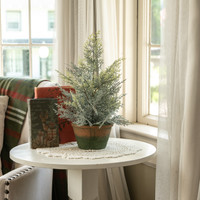 17" DUSTY CEDAR PINE TREE IN POT