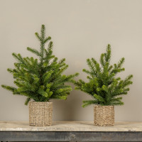 25" PINE TREE IN BASKET