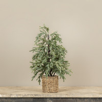 18" FROSTED PINE TREE IN BASKET