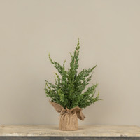 23" CYPRESS & RUSCUS TREE W/ BURLAP BASE