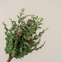 17" CYPRESS & RUSCUS BUSH