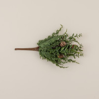 17" CYPRESS & RUSCUS BUSH
