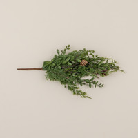 17" CYPRESS & RUSCUS PICK
