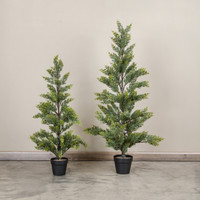 37" JUNIPER TREE IN POT