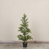 37" JUNIPER TREE IN POT