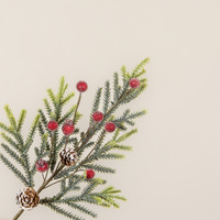 15" MOUNTAIN PINE W/ ICED BERRIES SPRAY