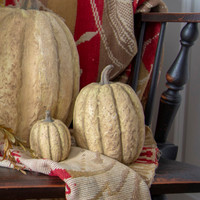 7.5" WHITE TALL PUMPKIN