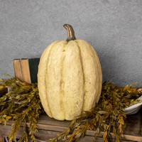 14" LG WHITE TALL PUMPKIN