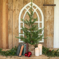 3' PINE TREE WITH BURLAP BASE
