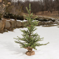 3' PINE TREE WITH BURLAP BASE