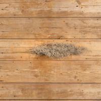 37" SPANISH MOSS BUSH
