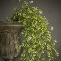 45" BOXWOOD HANGING BUSH