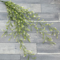 45" BOXWOOD HANGING BUSH
