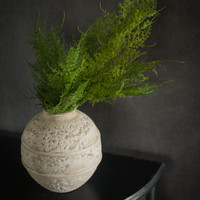 18" ASPARAGUS FERN