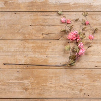 39" DARK PINK HOPS STEM