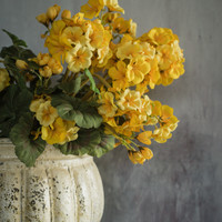 19.5" YELLOW GERANIUM BUSH