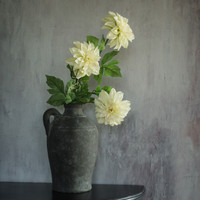 24" LIGHT GREEN DAHLIA STEM