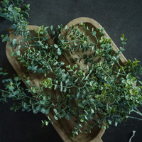 33" WHITEWASH GREEN EUCALYPTUS HANGING BUSH