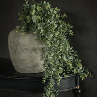 33" WHITEWASH GREEN EUCALYPTUS HANGING BUSH