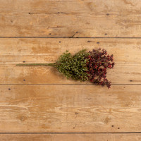 18" NEW ENGLAND BOXWOOD & BERRY BUSH