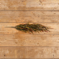 34.5" GREEN & RED COMMON BOXWOOD  HANGING BUSH