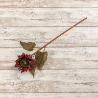 27" WINE SUNFLOWER STEM