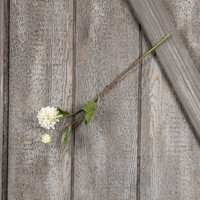 21" WHITE DAHLIA SPRAY