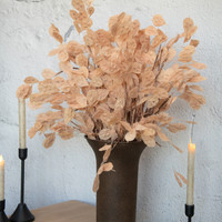 LIGHT BROWN SILVER DOLLAR STEM