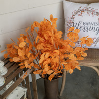 ORANGE SILVER DOLLAR STEM
