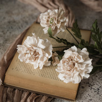25.5" AUTUMN CREAM SCABIOSA SPRAY