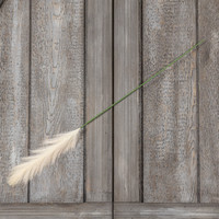 32" PAMPAS GRASS STEM