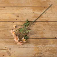 27.75" CORAL DAISY SPRAY