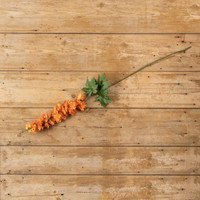 50.5" ORANGE GIANT LARKSPUR STEM