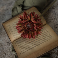 25" BURNT ORANGE DAISY SPRAY