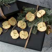 5' APPLE SLICE GARLAND