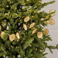 5' APPLE SLICE GARLAND