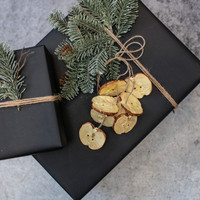 12" APPLE SLICE HANGING ORNAMENT