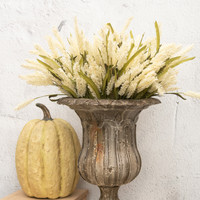 20" CREAM MINI PAMPAS GRASS BUSH