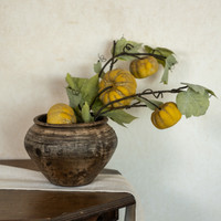 22" GREEN PUMPKIN VINE