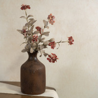 20" BURNT ORANGE HYDRANGEA BUSH